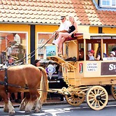 4 Person Holiday Home in Svaneke