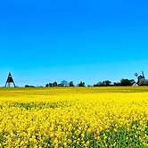 4 Person Holiday Home in Svaneke