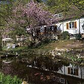 Charming Apartment in Weissenbrunn Near Forest