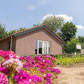 Welcoming Mansion Near the Forest