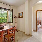 Gorgeous Holiday Home in Sorano With Swimming Pool