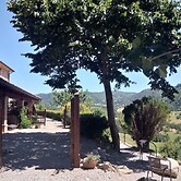 Cozy Apartment With Garden, Patio, Storage, Deckchairs, BBQ