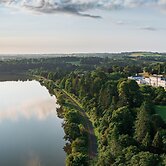 The Forest at Mount Congreve Gardens
