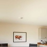 Host Stay Number Two Piglets