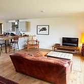 Host Stay Number One Piglets