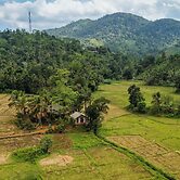 Forest & Fields Sinharaja