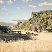 Room in Lodge - Mmakuba Game Lodge, Two Bedroom Villa 3