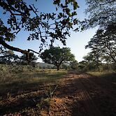 Room in Lodge - Mmakuba Private Game Lodge, Two Bedroom Villa 2