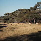 Room in Guest Room - Serene Retreat in Bracondale Mountain Views & Pri