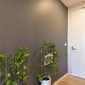 Mega Style Apartments The General