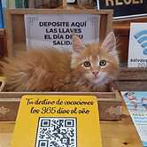 Hotel Casa Morlans 3000