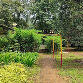 Tree Paradise Resort