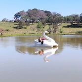Cabaña Mi Querido Viejo