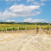 Vineyard Farmhouse in Oakland w/ Hot Tub!