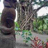 Glowing view tree house and Bangalow