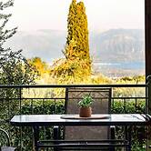 Aelia Guesthouse - Olive Grove Retreat