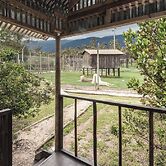 Sleep Whiskers Away From the Lions and 