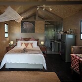 Sleep Whiskers Away From the Lions and 