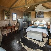 Sleep Whiskers Away From the Lions and 