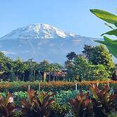 Kibo View Farm Lodge