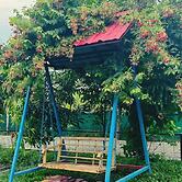 SereniTea Chaya By GRB