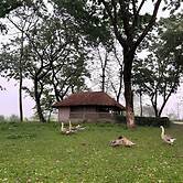 Dhansiri Eco Camp By GRB