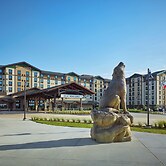 Great Wolf Lodge Webster
