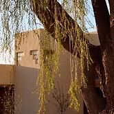 Hotel Willa