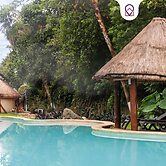 Apt with Pool & jungle in Puerto Morelos