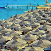 Shark's Bay Oasis Aqua Park Hotel