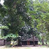 Kv Jungle Bungalows