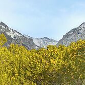 Near Hiking: Tranquil Crestone Studio w/ Deck!