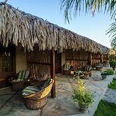 Paradise Suit Sal Premium