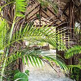 Room in Lodge - Charming Suit Room 5