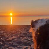 Ferienpark-Eichenwald