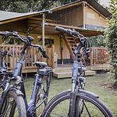 Family Forest Stay With Garden