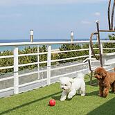 Yangyang Bono Pet-friendly Pension
