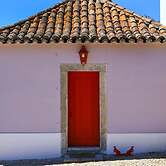 Pine Tree House in Azeit o