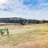 Fire Pits, Creek View: Historic Virginia Farmhouse