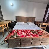 Echoes of the Himalayas