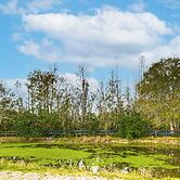 Pasture & Pond Views: Lovely Lutz Apartment