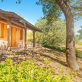 Appartements mit Veranda, Andora