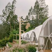 Desa Kepompong by Sinergi