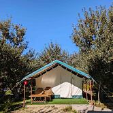 Apple Orchard Farm and Camping