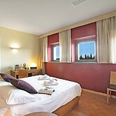 Standard Double Tulipano Piccolo - Almavi