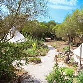 Pasare Glamping