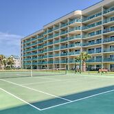 Plantation Palms 6103