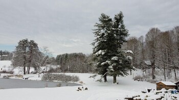 Pond View Cabin