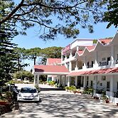 Mountain Quail Morni