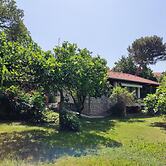 Apartment & Rooms Villa Oliva